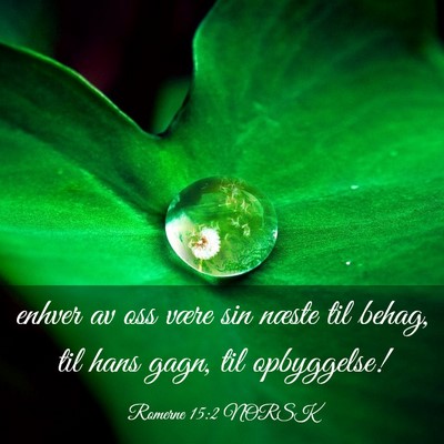 Picture 03 - Romerne 15:2 NORSK - enhver av oss være sin næste til behag, til - Bible Verse Picture