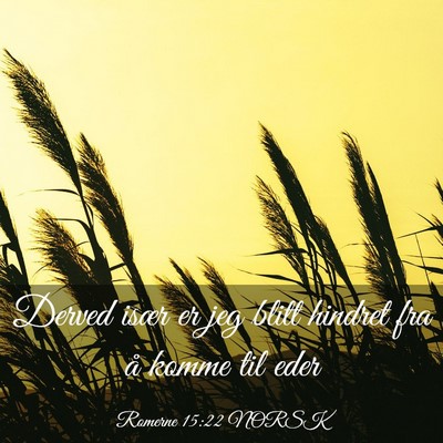 Picture 03 - Romerne 15:22 NORSK - Derved især er jeg blitt hindret fra å komme - Bible Verse Picture