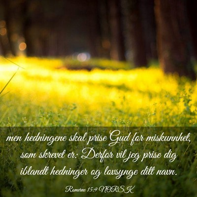 Picture 03 - Romerne 15:9 NORSK - men hedningene skal prise Gud for miskunnhet, som - Bible Verse Picture