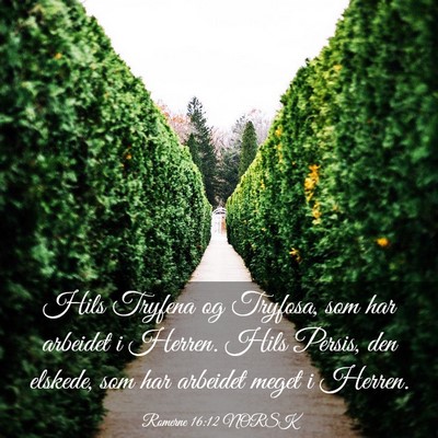 Picture 03 - Romerne 16:12 NORSK - Hils Tryfena og Tryfosa, som har arbeidet i - Bible Verse Picture