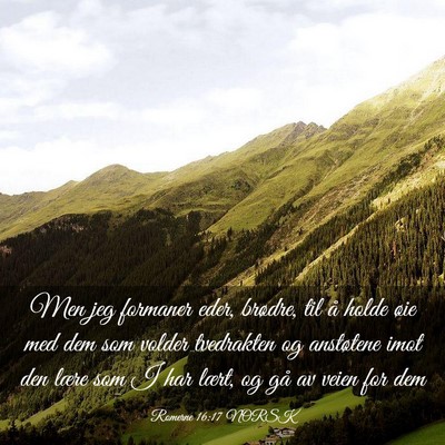 Picture 03 - Romerne 16:17 NORSK - Men jeg formaner eder, brødre, til å holde øie - Bible Verse Picture