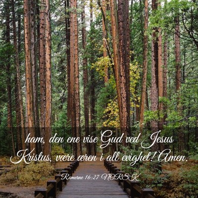 Picture 03 - Romerne 16:27 NORSK - ham, den ene vise Gud ved Jesus Kristus, være - Bible Verse Picture