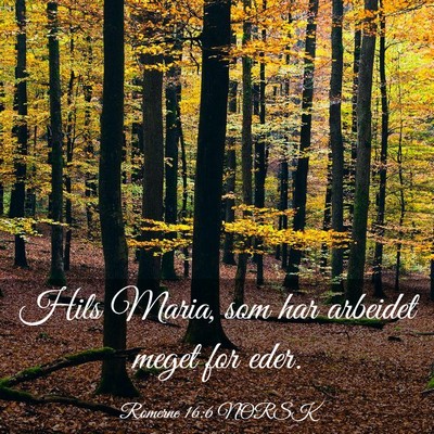 Picture 03 - Romerne 16:6 NORSK - Hils Maria, som har arbeidet meget for - Bible Verse Picture