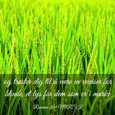 Picture 03 - Romerne 2:19 NORSK - og trøster dig til å være en veiviser for - Bible Verse Picture
