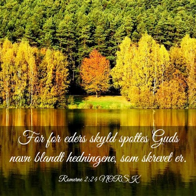 Picture 03 - Romerne 2:24 NORSK - For for eders skyld spottes Guds navn blandt - Bible Verse Picture