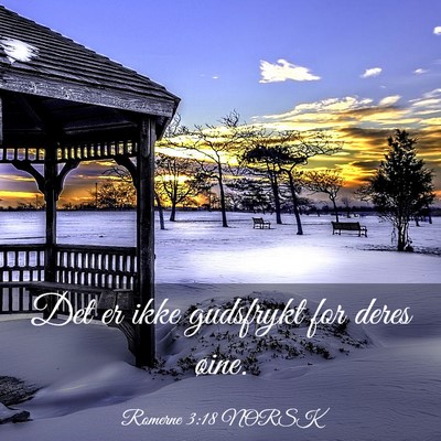 Picture 03 - Romerne 3:18 NORSK - Det er ikke gudsfrykt for deres - Bible Verse Picture