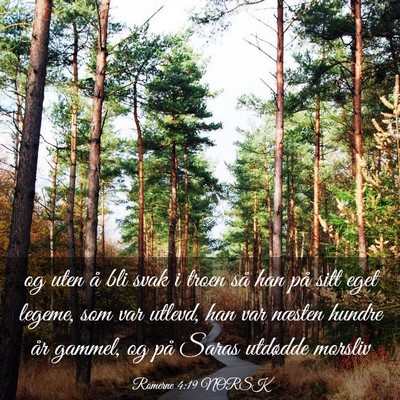 Picture 03 - Romerne 4:19 NORSK - og uten å bli svak i troen så han på sitt eget - Bible Verse Picture