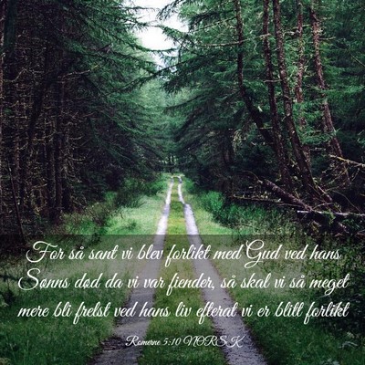Picture 03 - Romerne 5:10 NORSK - For så sant vi blev forlikt med Gud ved hans - Bible Verse Picture