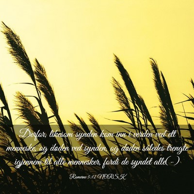 Picture 03 - Romerne 5:12 NORSK - Derfor, likesom synden kom inn i verden ved ett - Bible Verse Picture