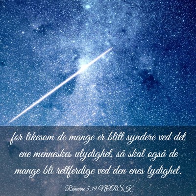 Picture 03 - Romerne 5:19 NORSK - for likesom de mange er blitt syndere ved det ene - Bible Verse Picture