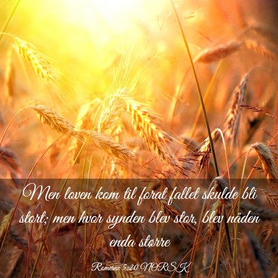 Picture 03 - Romerne 5:20 NORSK - Men loven kom til forat fallet skulde bli stort; - Bible Verse Picture