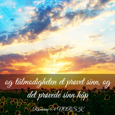 Picture 03 - Romerne 5:4 NORSK - og tålmodigheten et prøvet sinn, og det - Bible Verse Picture