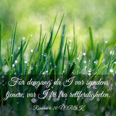 Picture 03 - Romerne 6:20 NORSK - For dengang da I var syndens tjenere, var I fri - Bible Verse Picture