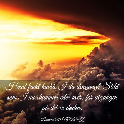 Picture 03 - Romerne 6:21 NORSK - Hvad frukt hadde I da dengang? Slikt som I nu - Bible Verse Picture