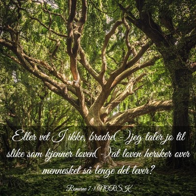 Picture 03 - Romerne 7:1 NORSK - Eller vet I ikke, brødre(-)jeg taler jo til - Bible Verse Picture