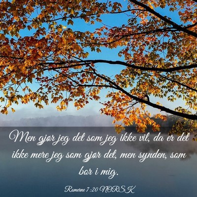Picture 03 - Romerne 7:20 NORSK - Men gjør jeg det som jeg ikke vil, da er det - Bible Verse Picture