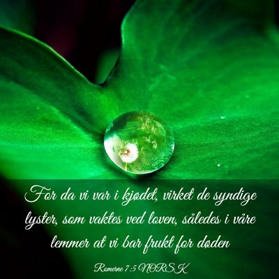 Picture 03 - Romerne 7:5 NORSK - For da vi var i kjødet, virket de syndige - Bible Verse Picture