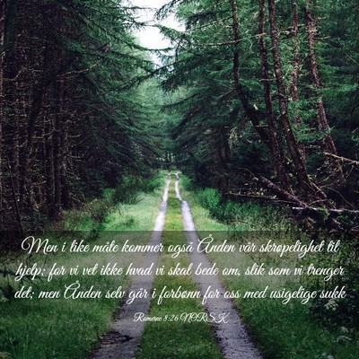 Picture 03 - Romerne 8:26 NORSK - Men i like måte kommer også Ånden vår - Bible Verse Picture