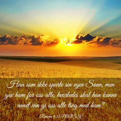 Picture 03 - Romerne 8:32 NORSK - Han som ikke sparte sin egen Sønn, men gav ham - Bible Verse Picture