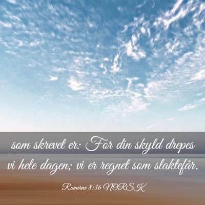 Picture 03 - Romerne 8:36 NORSK - som skrevet er: For din skyld drepes vi hele - Bible Verse Picture