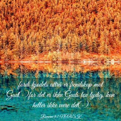 Picture 03 - Romerne 8:7 NORSK - fordi kjødets attrå er fiendskap mot Gud(-)for - Bible Verse Picture