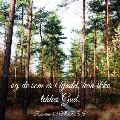 Picture 03 - Romerne 8:8 NORSK - og de som er i kjødet, kan ikke tekkes - Bible Verse Picture