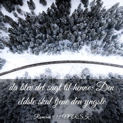 Picture 03 - Romerne 9:12 NORSK - da blev det sagt til henne: Den eldste skal tjene - Bible Verse Picture