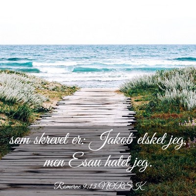 Picture 03 - Romerne 9:13 NORSK - som skrevet er: Jakob elsket jeg, men Esau hatet - Bible Verse Picture