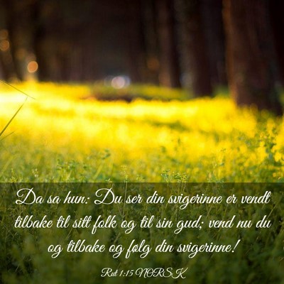 Picture 03 - Rut 1:15 NORSK - Da sa hun: Du ser din svigerinne er vendt tilbake - Bible Verse Picture