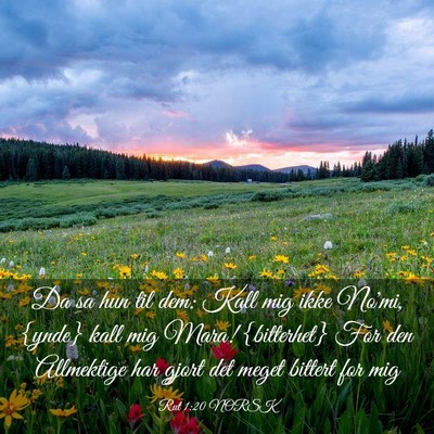 Picture 03 - Rut 1:20 NORSK - Da sa hun til dem: Kall mig ikke No'mi, {ynde} - Bible Verse Picture