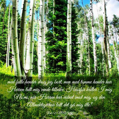 Picture 03 - Rut 1:21 NORSK - med fulle hender drog jeg bort, men med tomme - Bible Verse Picture