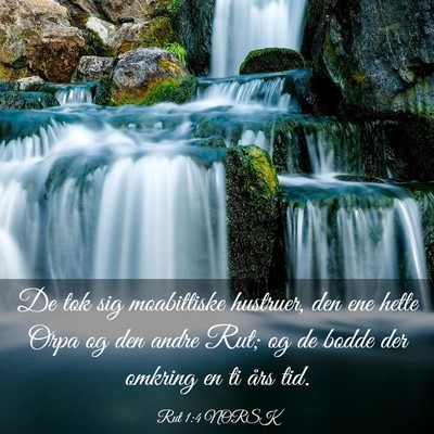 Picture 03 - Rut 1:4 NORSK - De tok sig moabittiske hustruer, den ene hette - Bible Verse Picture