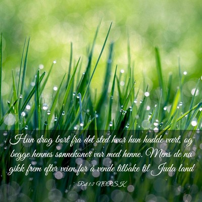 Picture 03 - Rut 1:7 NORSK - Hun drog bort fra det sted hvor hun hadde vært, - Bible Verse Picture