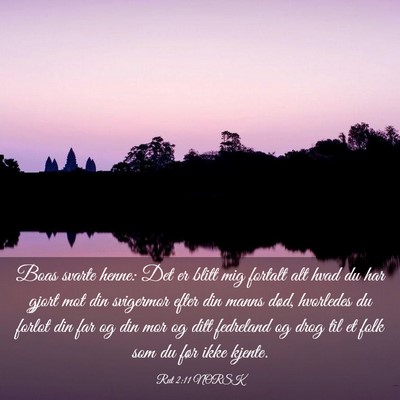 Picture 03 - Rut 2:11 NORSK - Boas svarte henne: Det er blitt mig fortalt alt - Bible Verse Picture