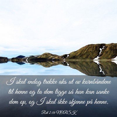 Picture 03 - Rut 2:16 NORSK - I skal endog trekke aks ut av kornbåndene til - Bible Verse Picture