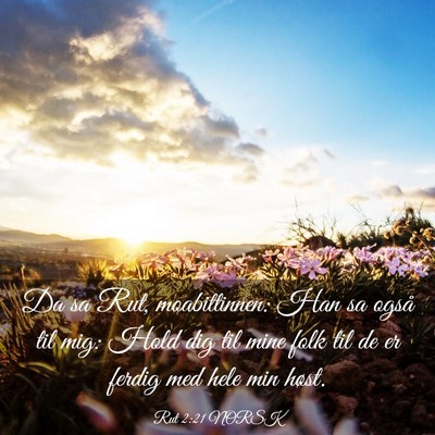 Picture 03 - Rut 2:21 NORSK - Da sa Rut, moabittinnen: Han sa også til mig: - Bible Verse Picture