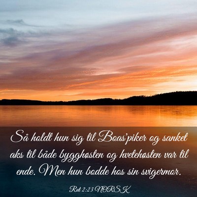 Picture 03 - Rut 2:23 NORSK - Så holdt hun sig til Boas'piker og sanket aks - Bible Verse Picture