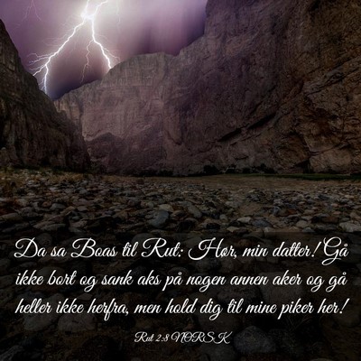 Picture 03 - Rut 2:8 NORSK - Da sa Boas til Rut: Hør, min datter! Gå ikke - Bible Verse Picture
