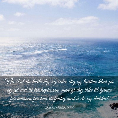 Picture 03 - Rut 3:3 NORSK - Nu skal du tvette dig og salve dig og ta dine - Bible Verse Picture