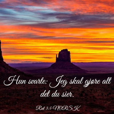 Picture 03 - Rut 3:5 NORSK - Hun svarte: Jeg skal gjøre alt det du - Bible Verse Picture