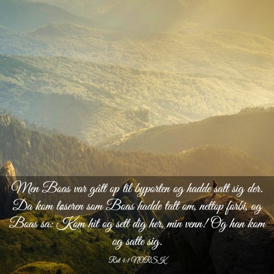 Picture 03 - Rut 4:1 NORSK - Men Boas var gått op til byporten og hadde satt - Bible Verse Picture