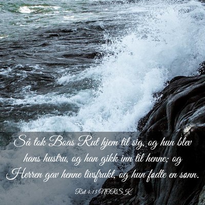 Picture 03 - Rut 4:13 NORSK - Så tok Boas Rut hjem til sig, og hun blev hans - Bible Verse Picture