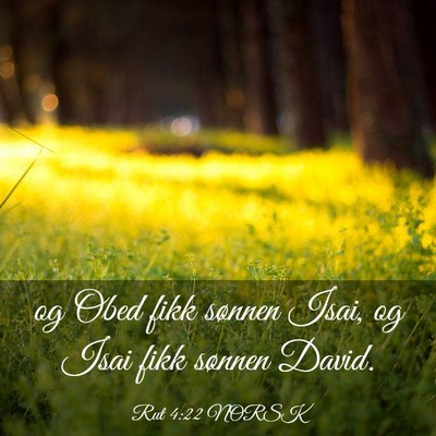 Picture 03 - Rut 4:22 NORSK - og Obed fikk sønnen Isai, og Isai fikk sønnen - Bible Verse Picture