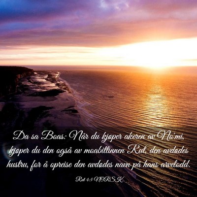 Picture 03 - Rut 4:5 NORSK - Da sa Boas: Når du kjøper akeren av No'mi, - Bible Verse Picture