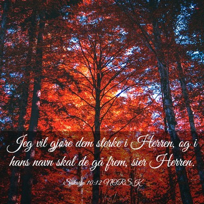 Picture 03 - Sakarja 10:12 NORSK - Jeg vil gjøre dem sterke i Herren, og i hans - Bible Verse Picture