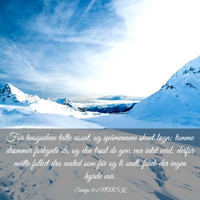 Picture 03 - Sakarja 10:2 NORSK - For husgudene talte usant, og spåmennene skuet - Bible Verse Picture