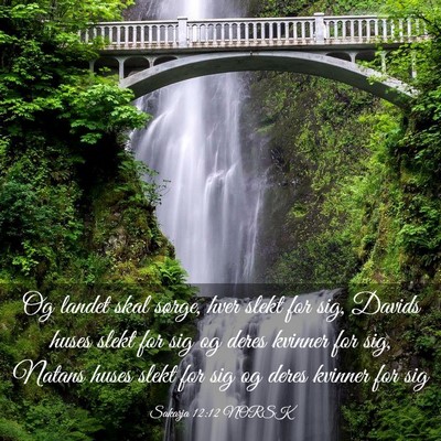 Picture 03 - Sakarja 12:12 NORSK - Og landet skal sørge, hver slekt for sig, Davids - Bible Verse Picture