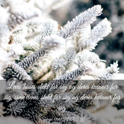 Picture 03 - Sakarja 12:13 NORSK - Levis huses slekt for sig og deres kvinner for - Bible Verse Picture