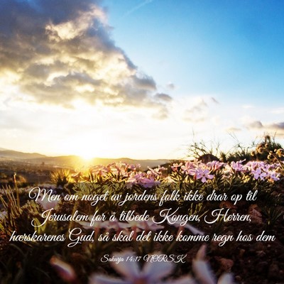 Picture 03 - Sakarja 14:17 NORSK - Men om noget av jordens folk ikke drar op til - Bible Verse Picture