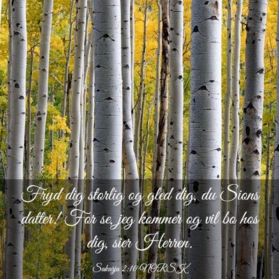 Picture 03 - Sakarja 2:10 NORSK - Fryd dig storlig og gled dig, du Sions datter! - Bible Verse Picture